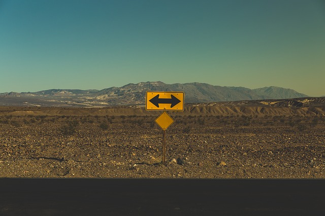 The Difference Between Reversible and Irreversible Decisions